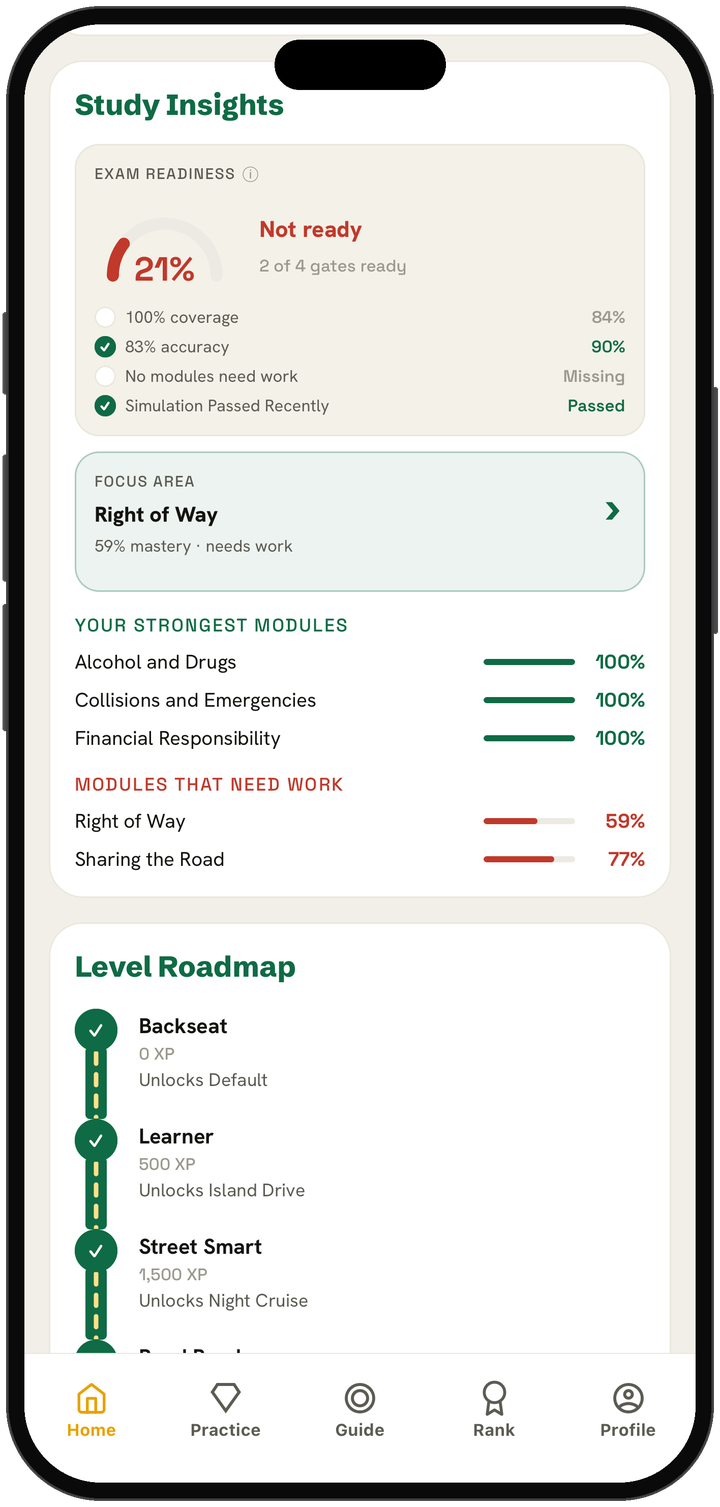 Study Insights